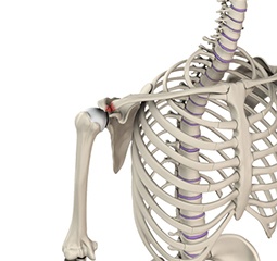 Acromioclavicular Joint (AC) Joint Reconstruction