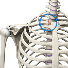 SC Joint Injury Reconstruction